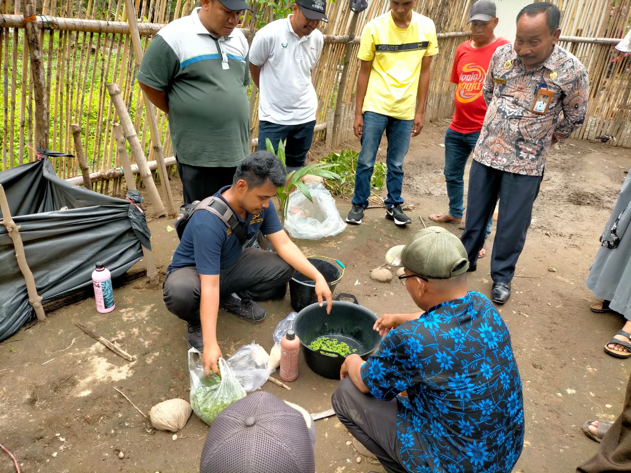Pelatihan pengembangan dan pengolahan tanaman azolla menjadi pakan ternak di nagari Lakitan Utara